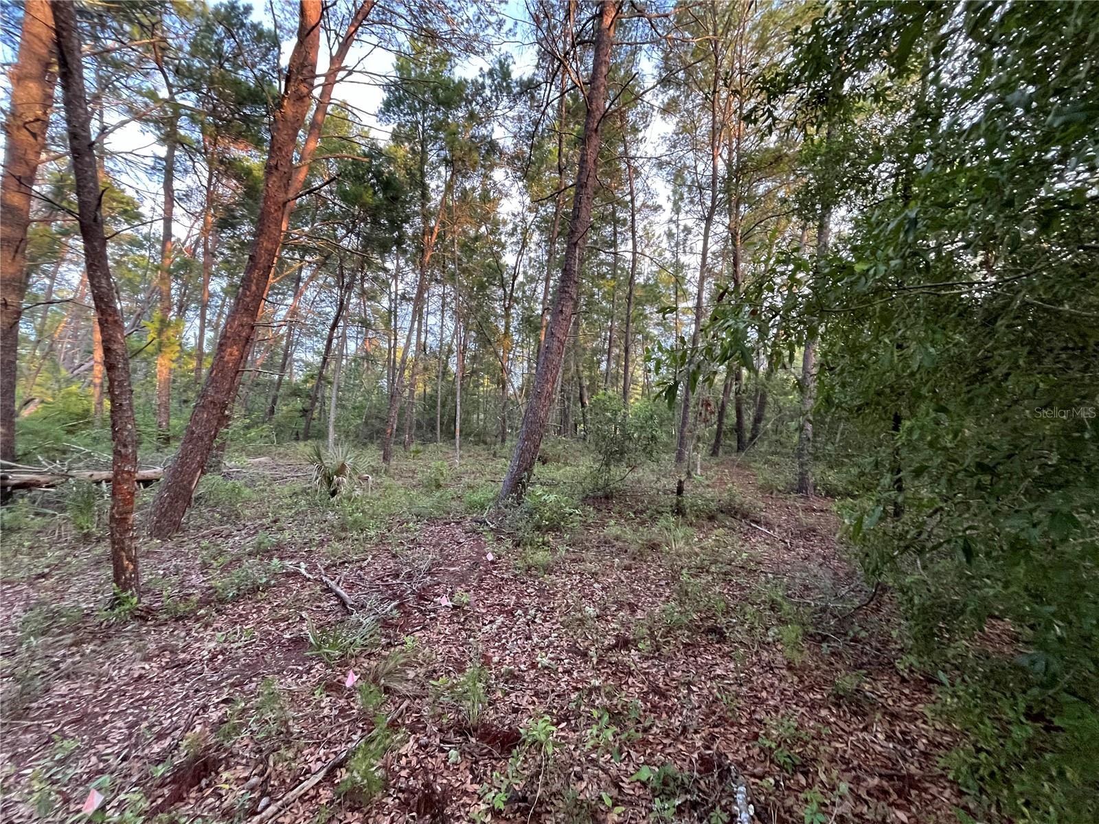TBD TWIN LAKES RD, INTERLACHEN, FL