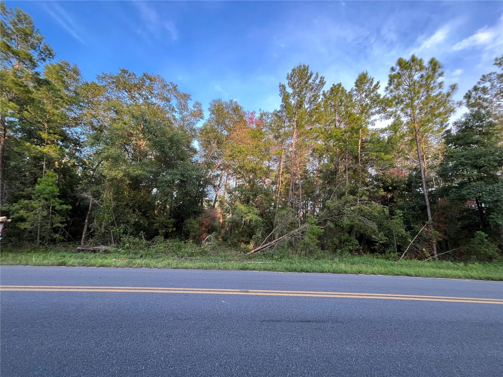 TBD TWIN LAKES RD, INTERLACHEN, FL — photo 9