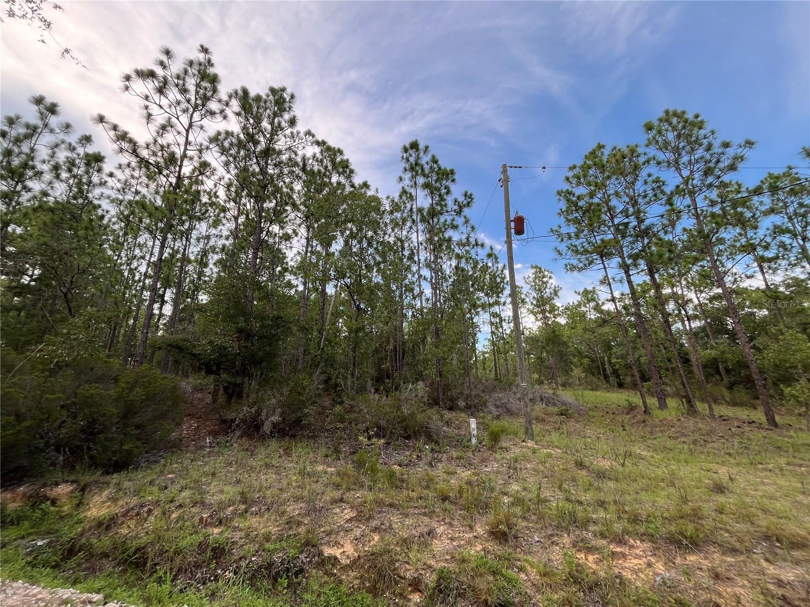 124 NEW YORK AVE, INTERLACHEN, FL
