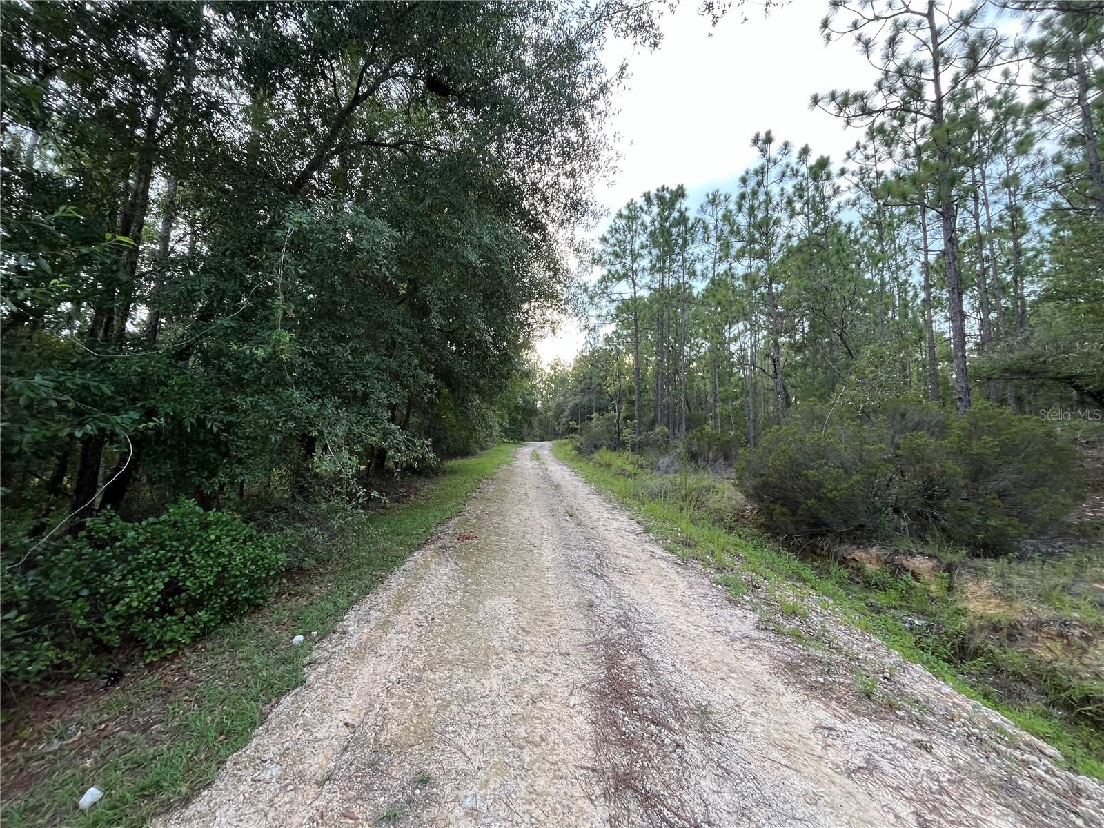 124 NEW YORK AVE, INTERLACHEN, FL — photo 2