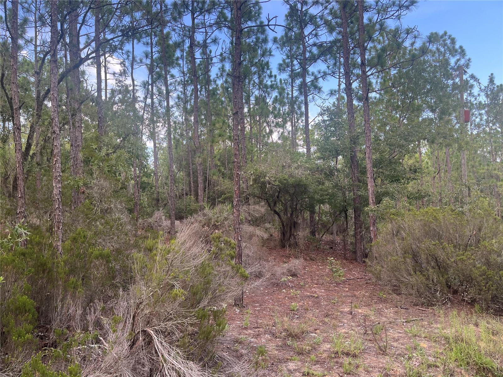 124 NEW YORK AVE, INTERLACHEN, FL — photo 4