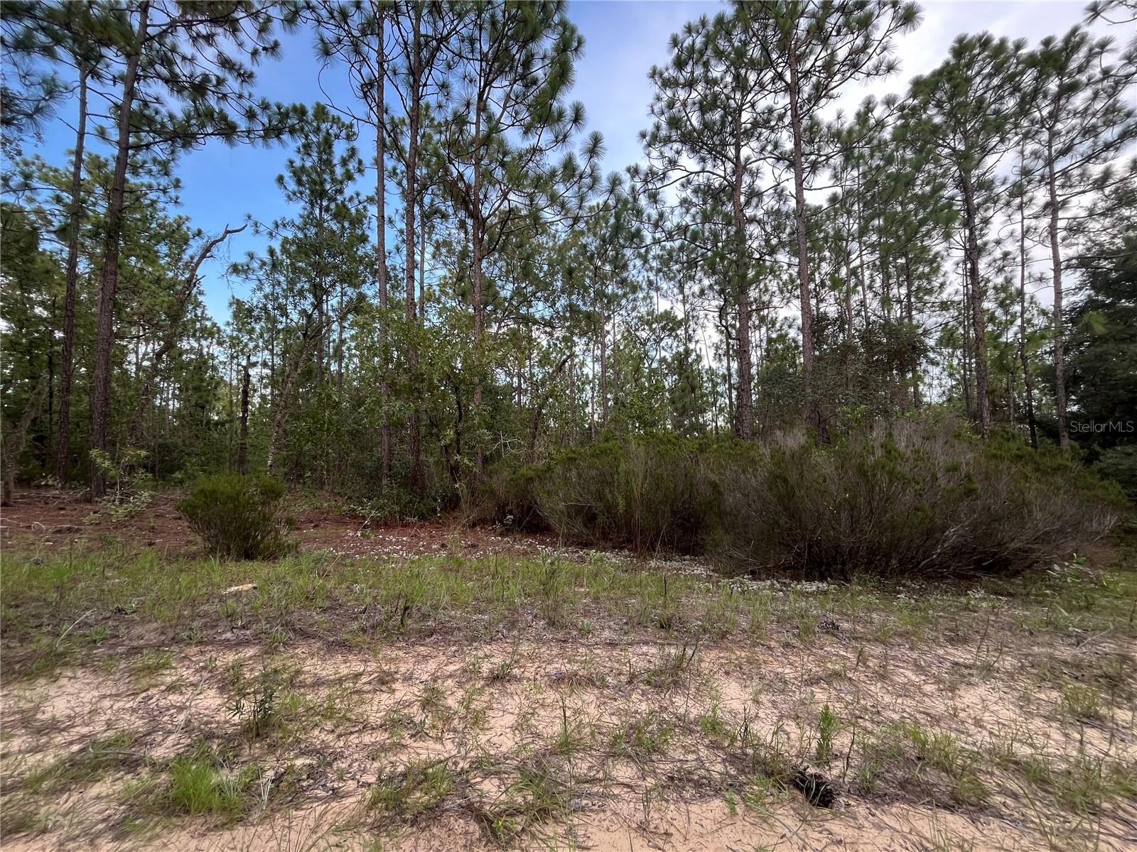 124 NEW YORK AVE, INTERLACHEN, FL — photo 8