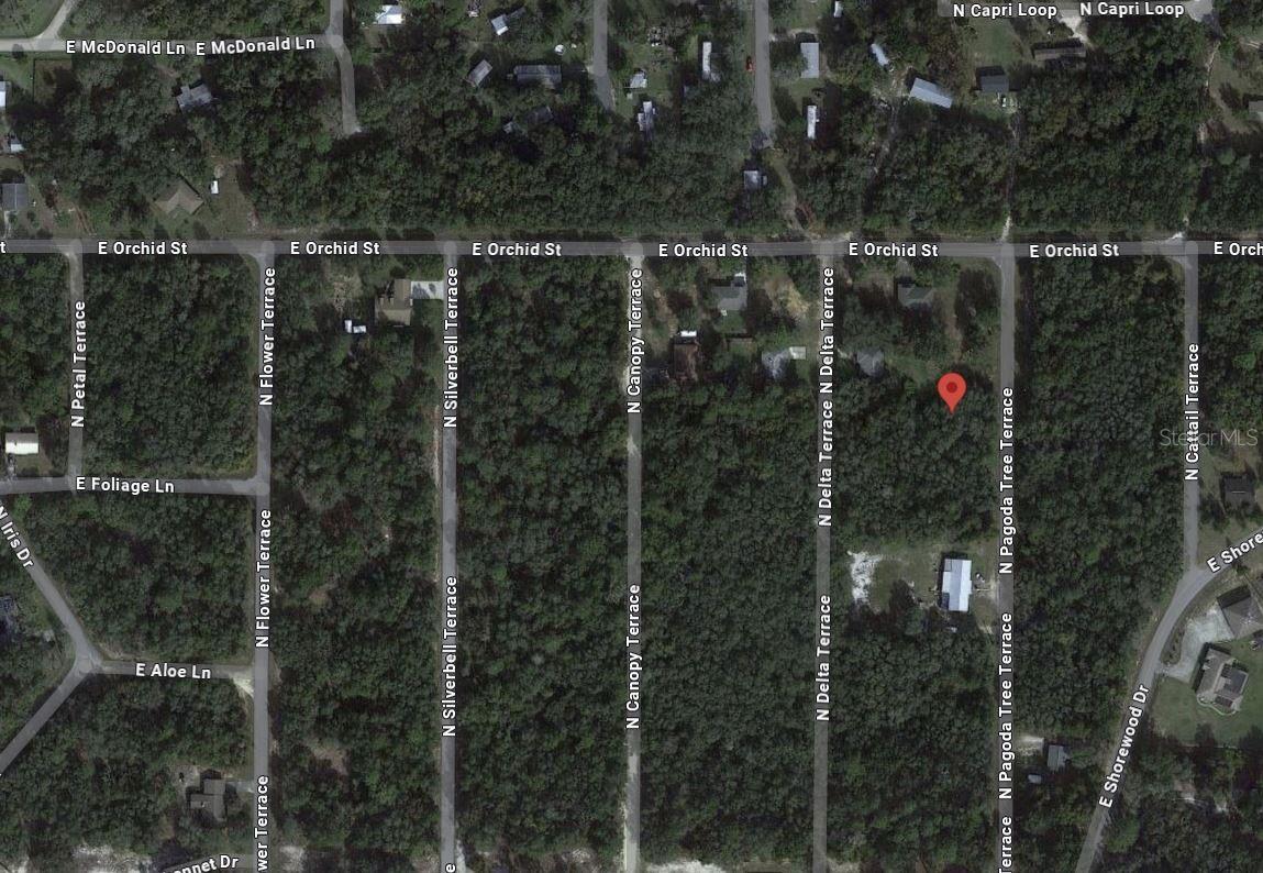 6634 N PAGODA TREE TER, HERNANDO, FL — photo 9