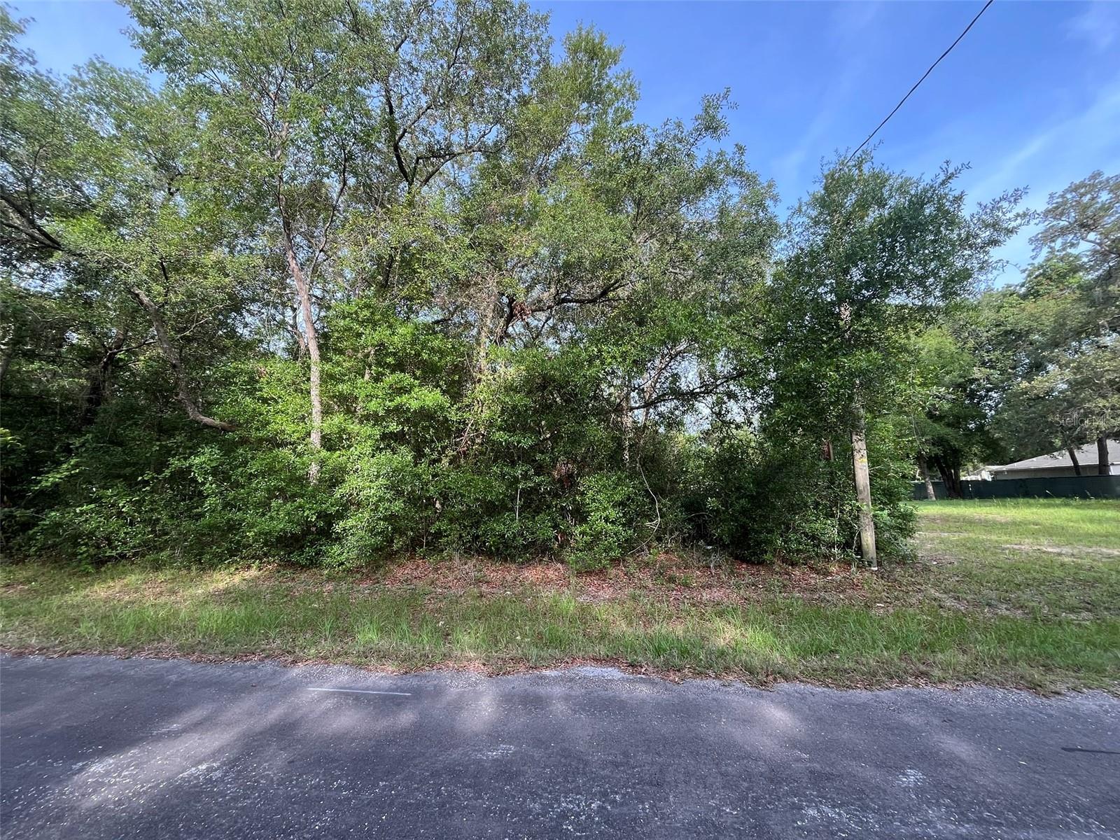 6634 N PAGODA TREE TER, HERNANDO, FL — photo 2