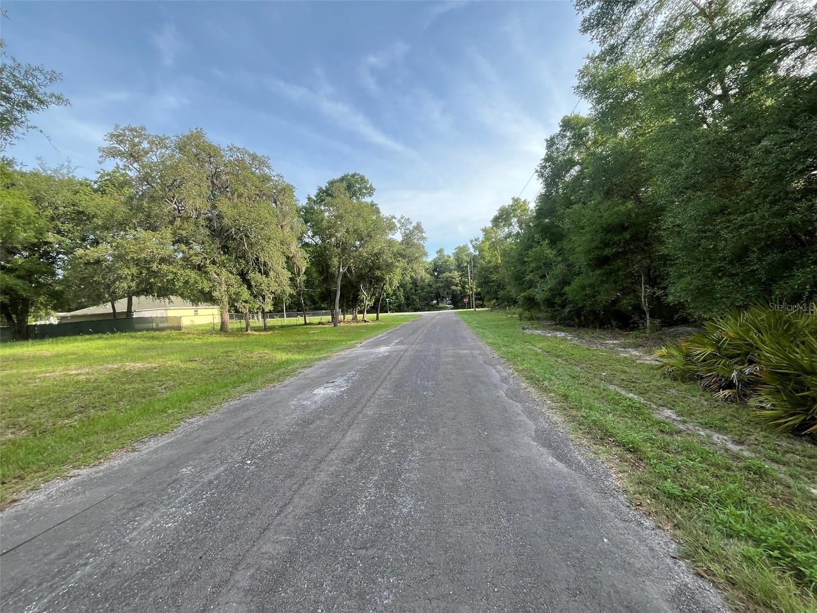 6634 N PAGODA TREE TER, HERNANDO, FL — photo 3