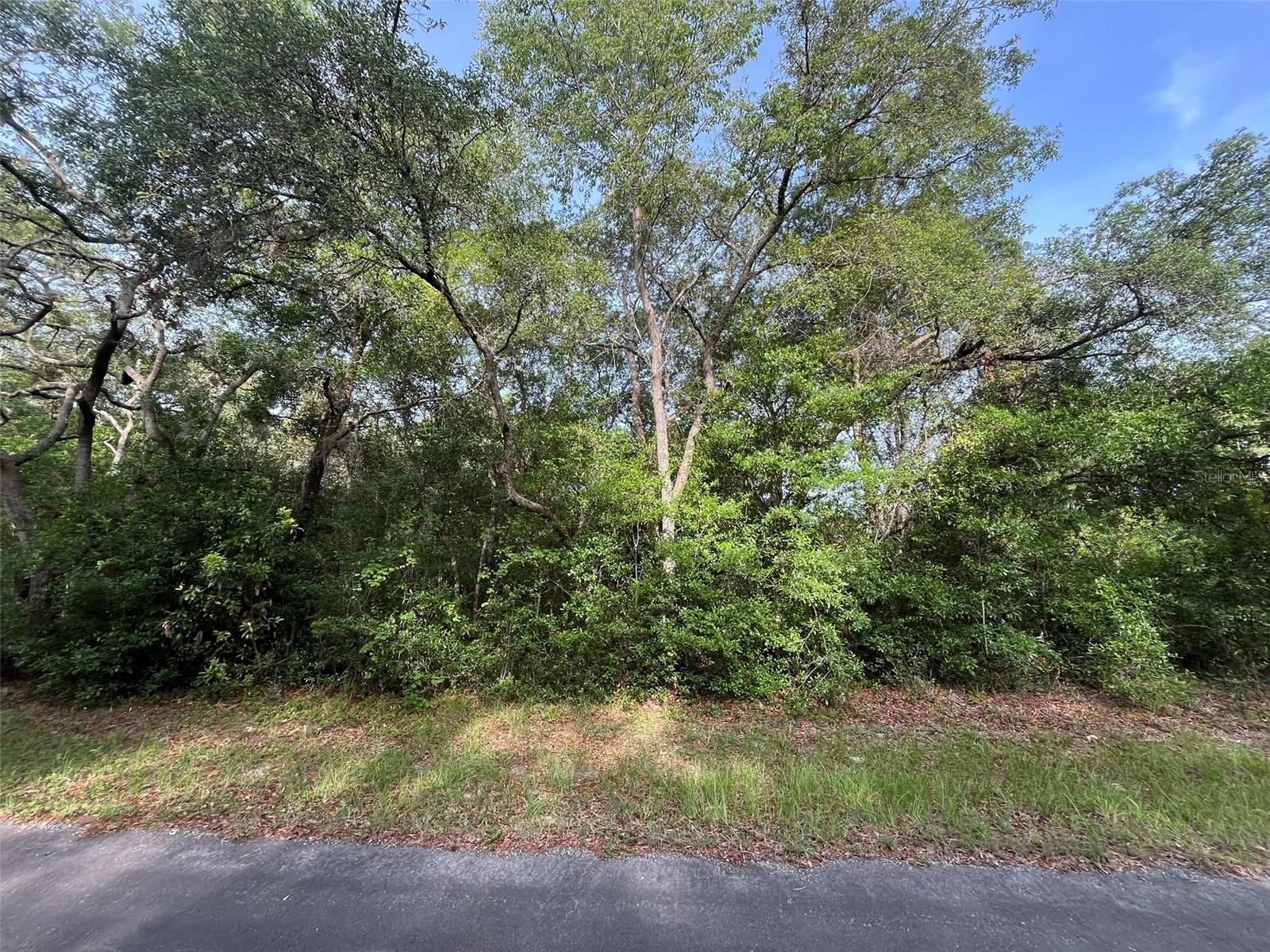6634 N PAGODA TREE TER, HERNANDO, FL