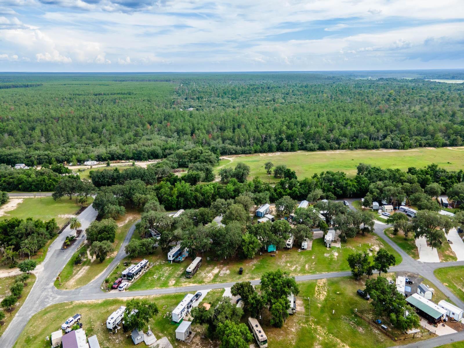 15991 NE 243RD PLACE RD #32, FORT MC COY, FL — photo 22
