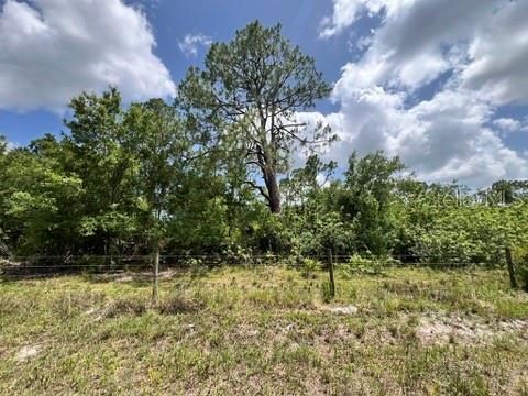 21041 GRANVILLE RD, NORTH FORT MYERS, FL — photo 11