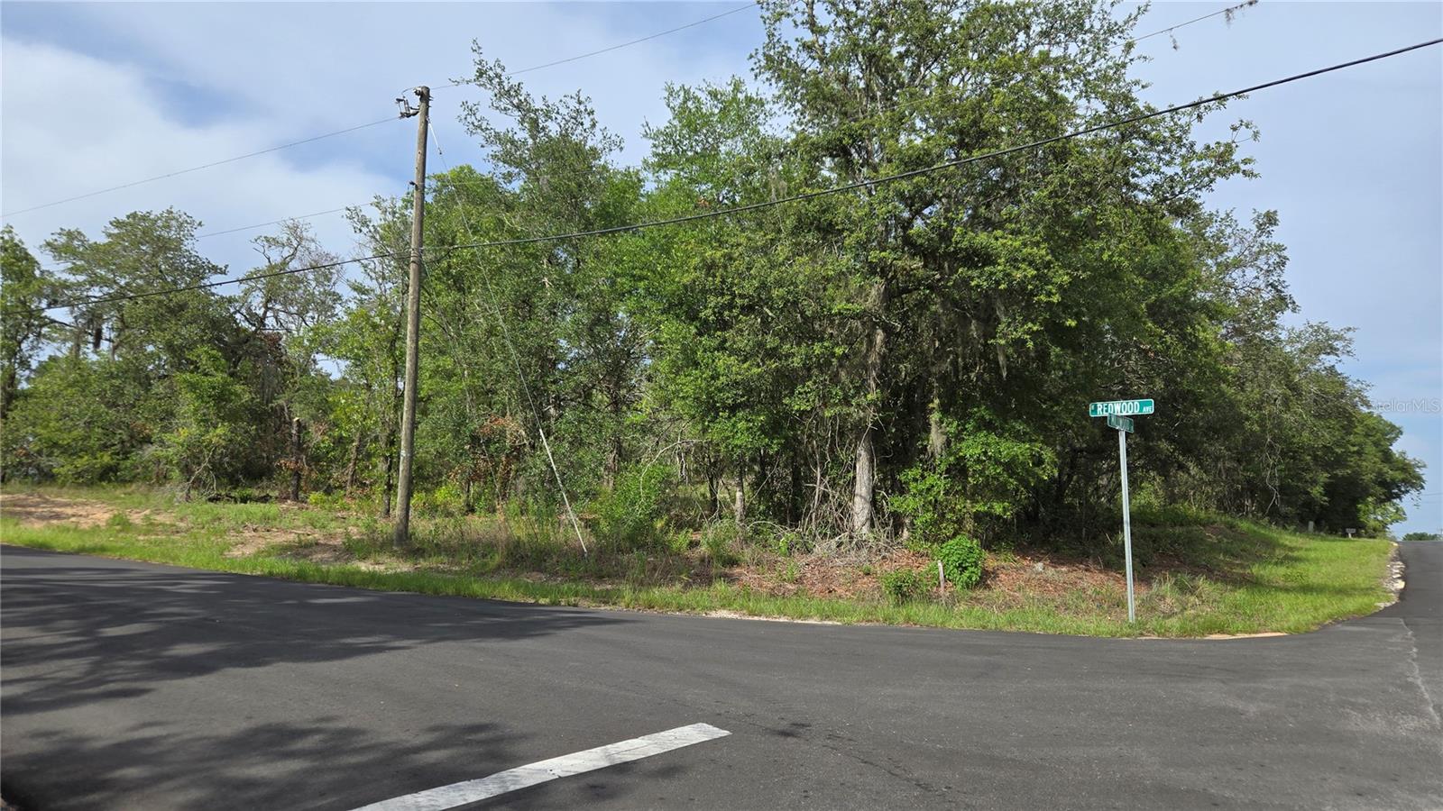 4771 N REDWOOD AVE, HERNANDO, FL