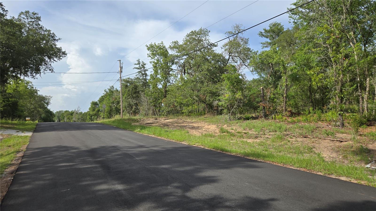 4771 N REDWOOD AVE, HERNANDO, FL — photo 3