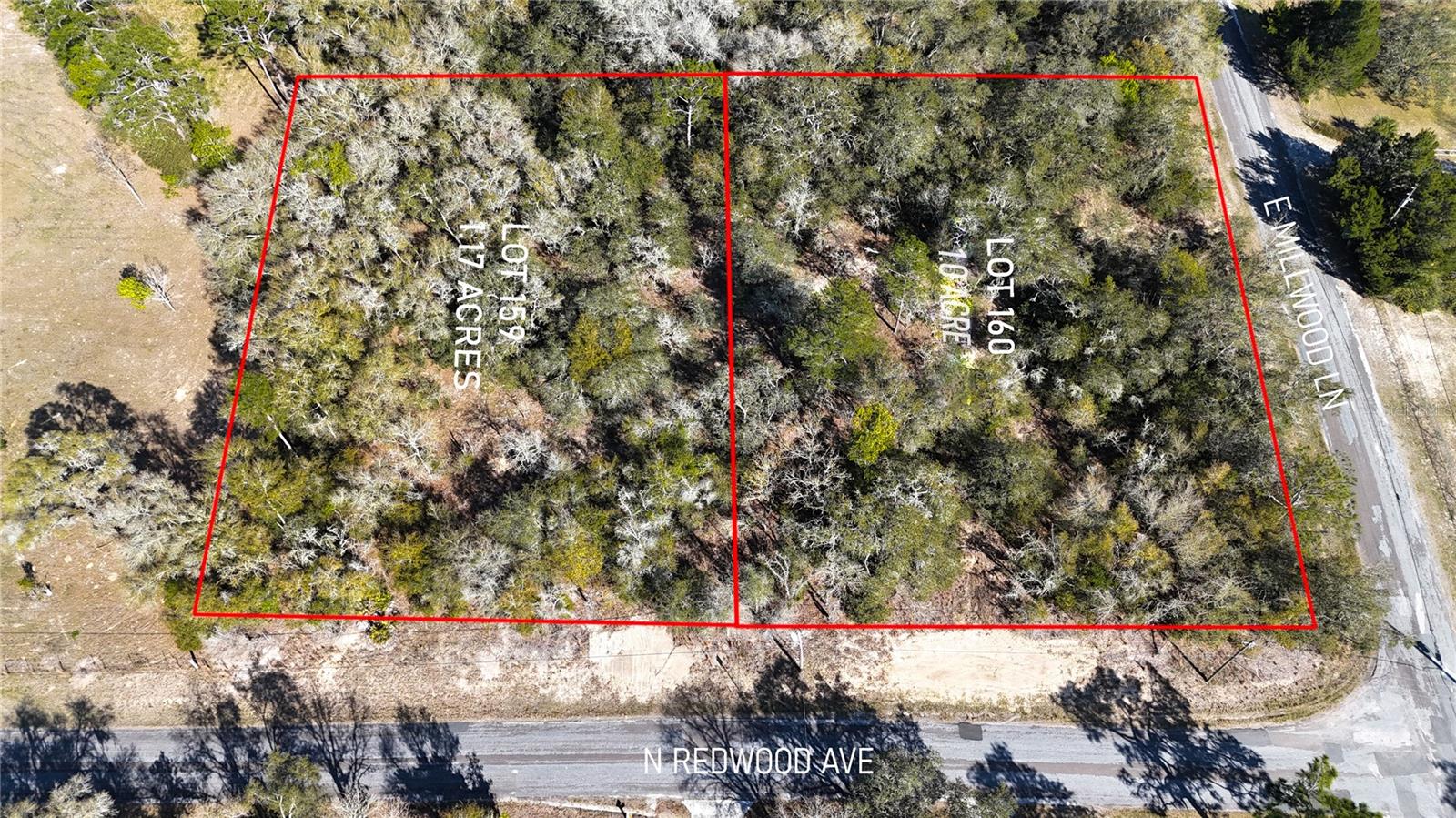 4771 N REDWOOD AVE, HERNANDO, FL — photo 6