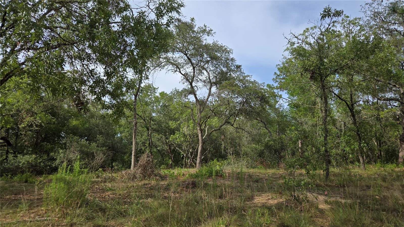 4771 N REDWOOD AVE, HERNANDO, FL — photo 10
