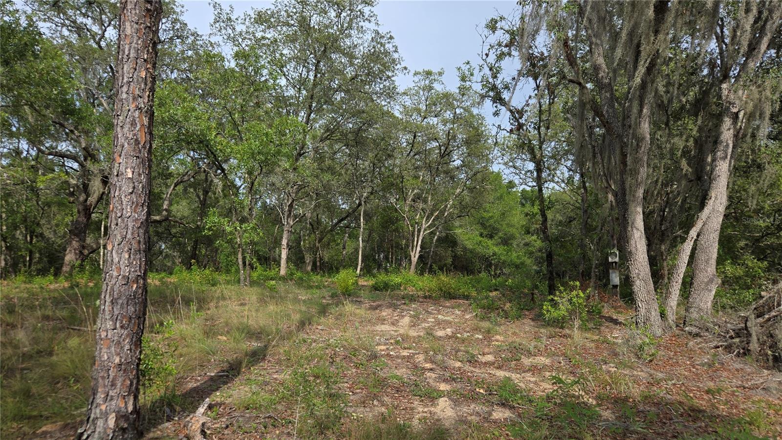 4771 N REDWOOD AVE, HERNANDO, FL — photo 11