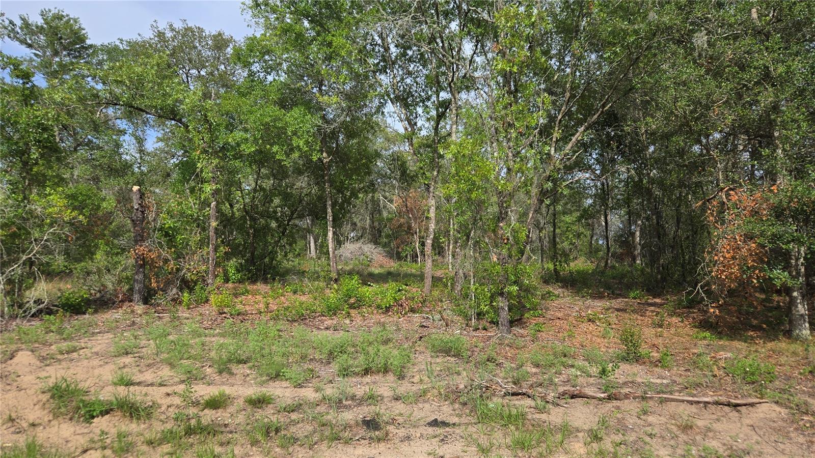 4771 N REDWOOD AVE, HERNANDO, FL — photo 12