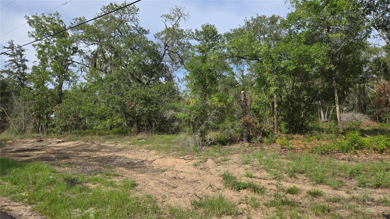 4771 N REDWOOD AVE, HERNANDO, FL — photo 13