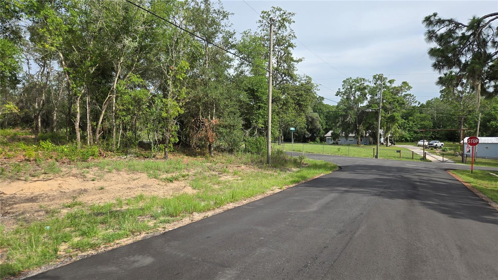 4771 N REDWOOD AVE, HERNANDO, FL — photo 15