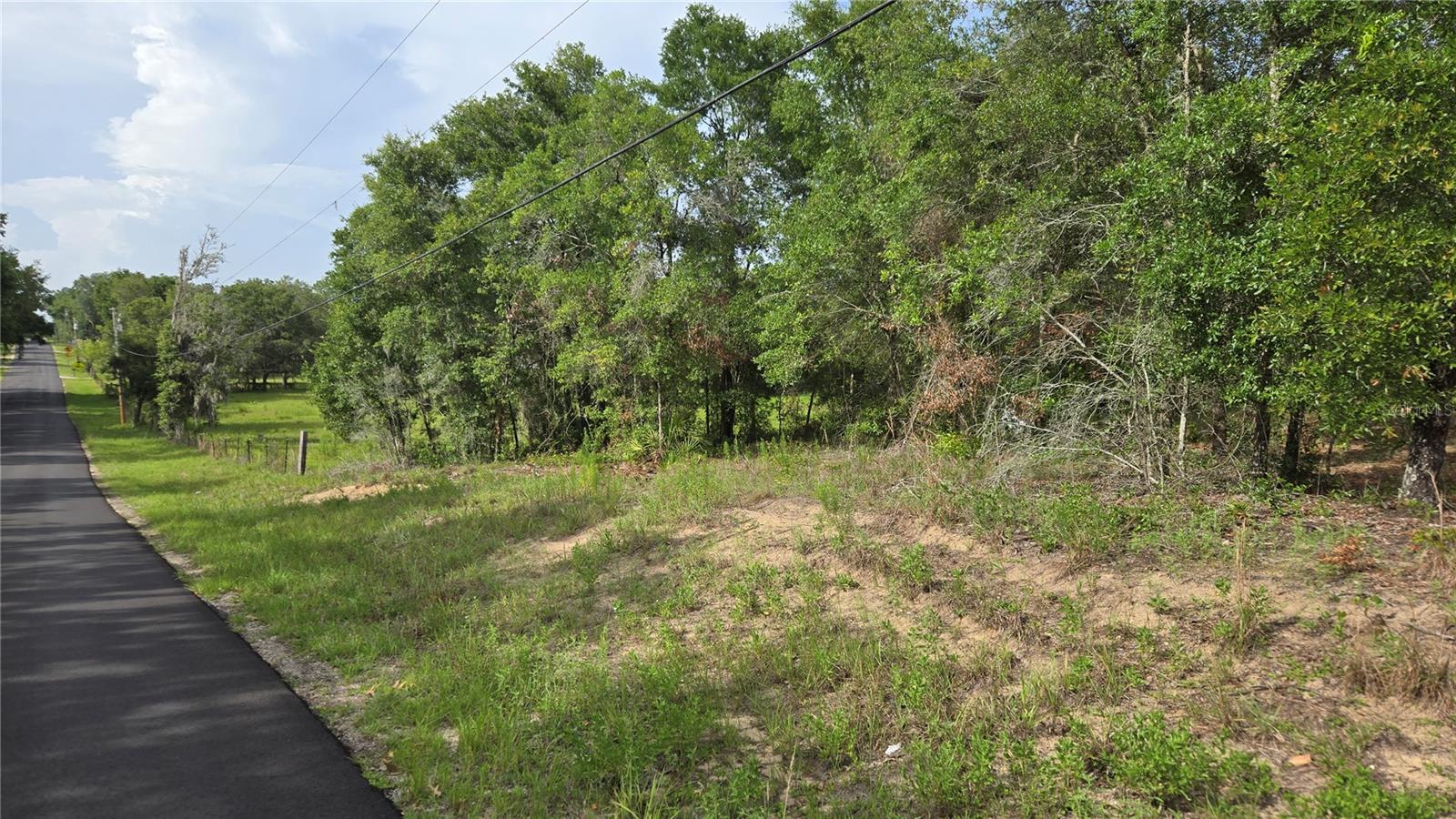 4771 N REDWOOD AVE, HERNANDO, FL — photo 17