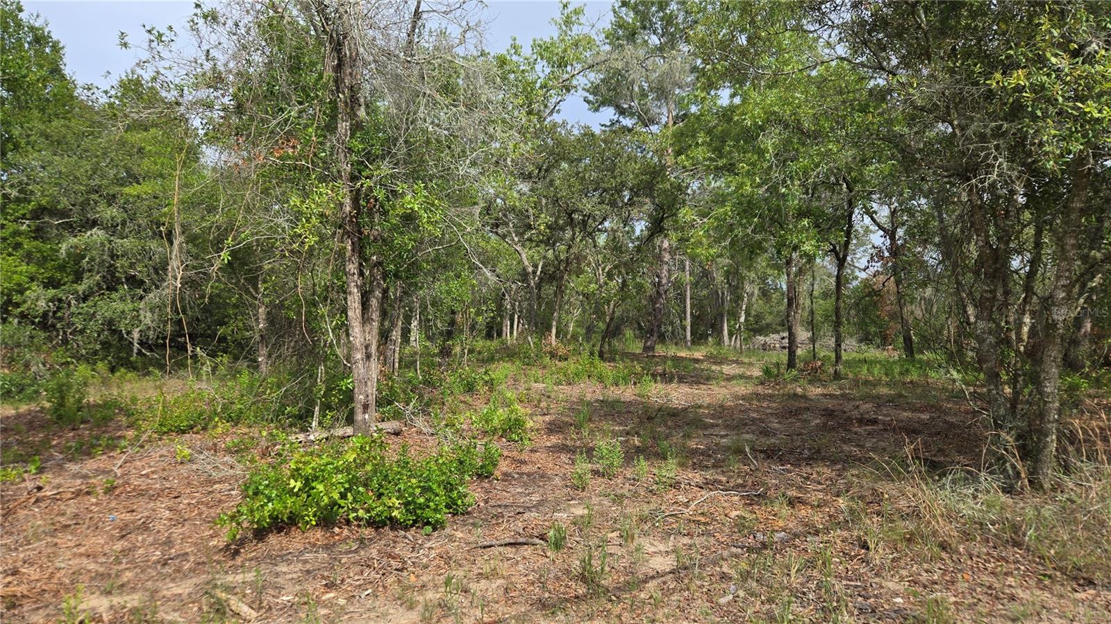 4771 N REDWOOD AVE, HERNANDO, FL — photo 20