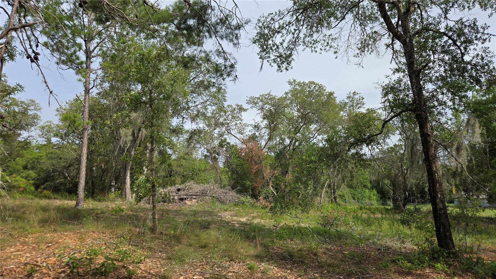 4771 N REDWOOD AVE, HERNANDO, FL — photo 21