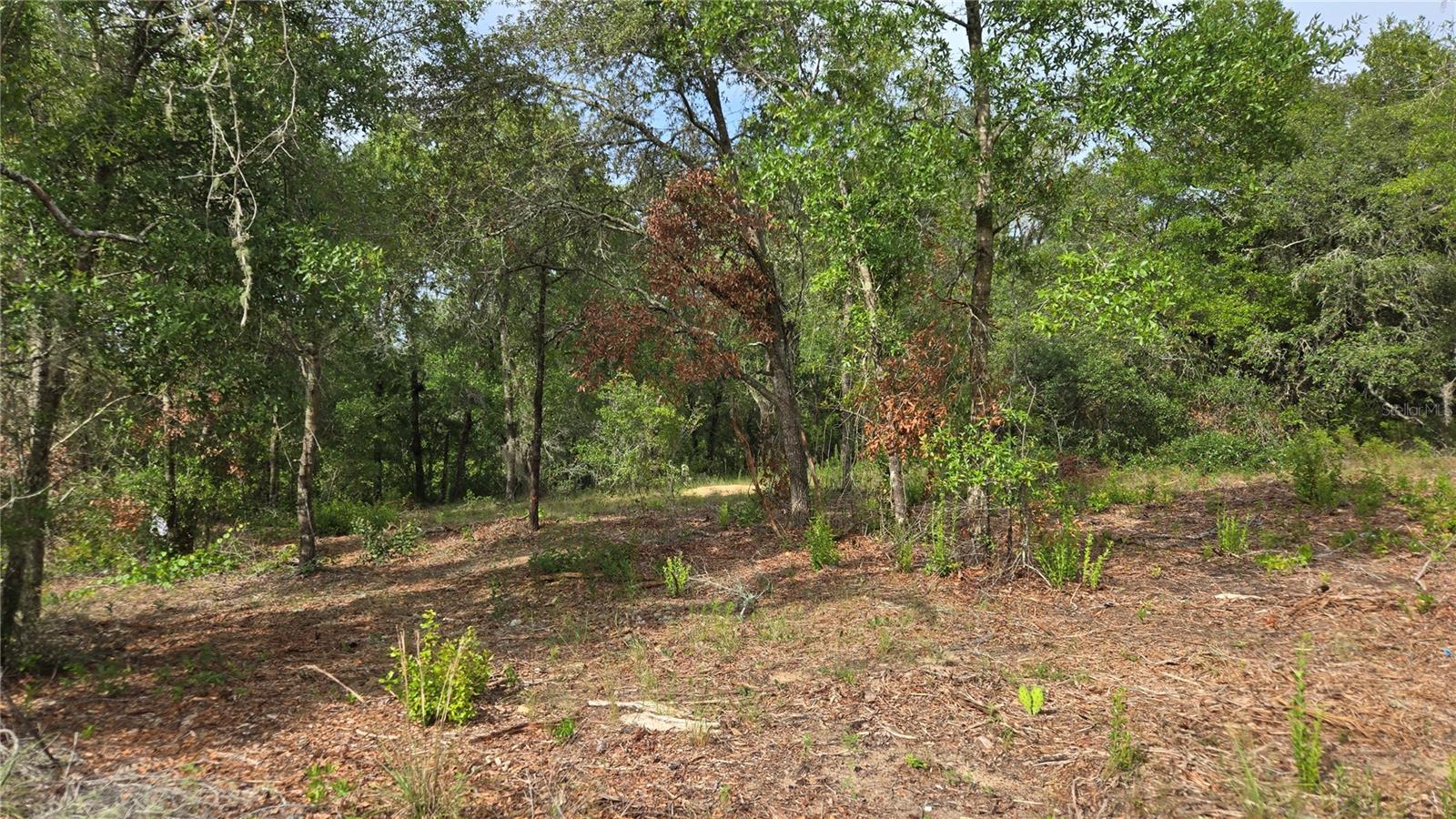4771 N REDWOOD AVE, HERNANDO, FL — photo 22