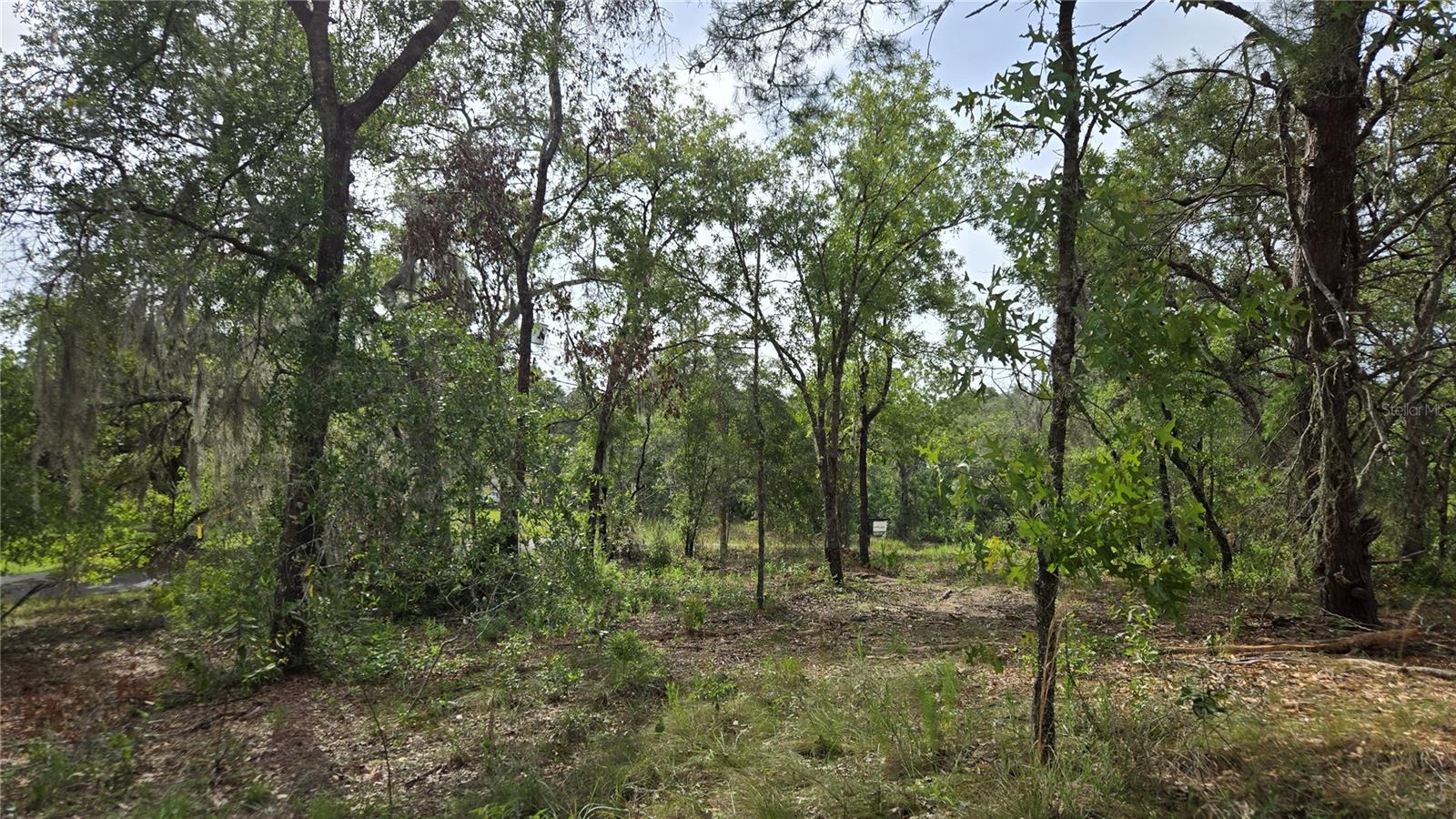 4771 N REDWOOD AVE, HERNANDO, FL — photo 23