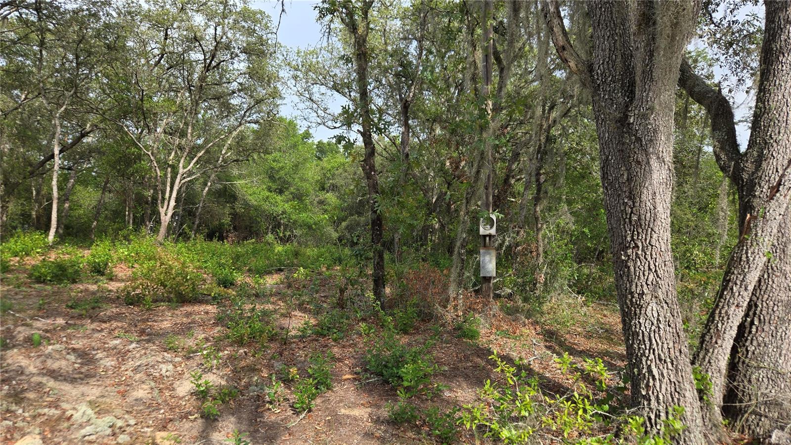 4771 N REDWOOD AVE, HERNANDO, FL — photo 24