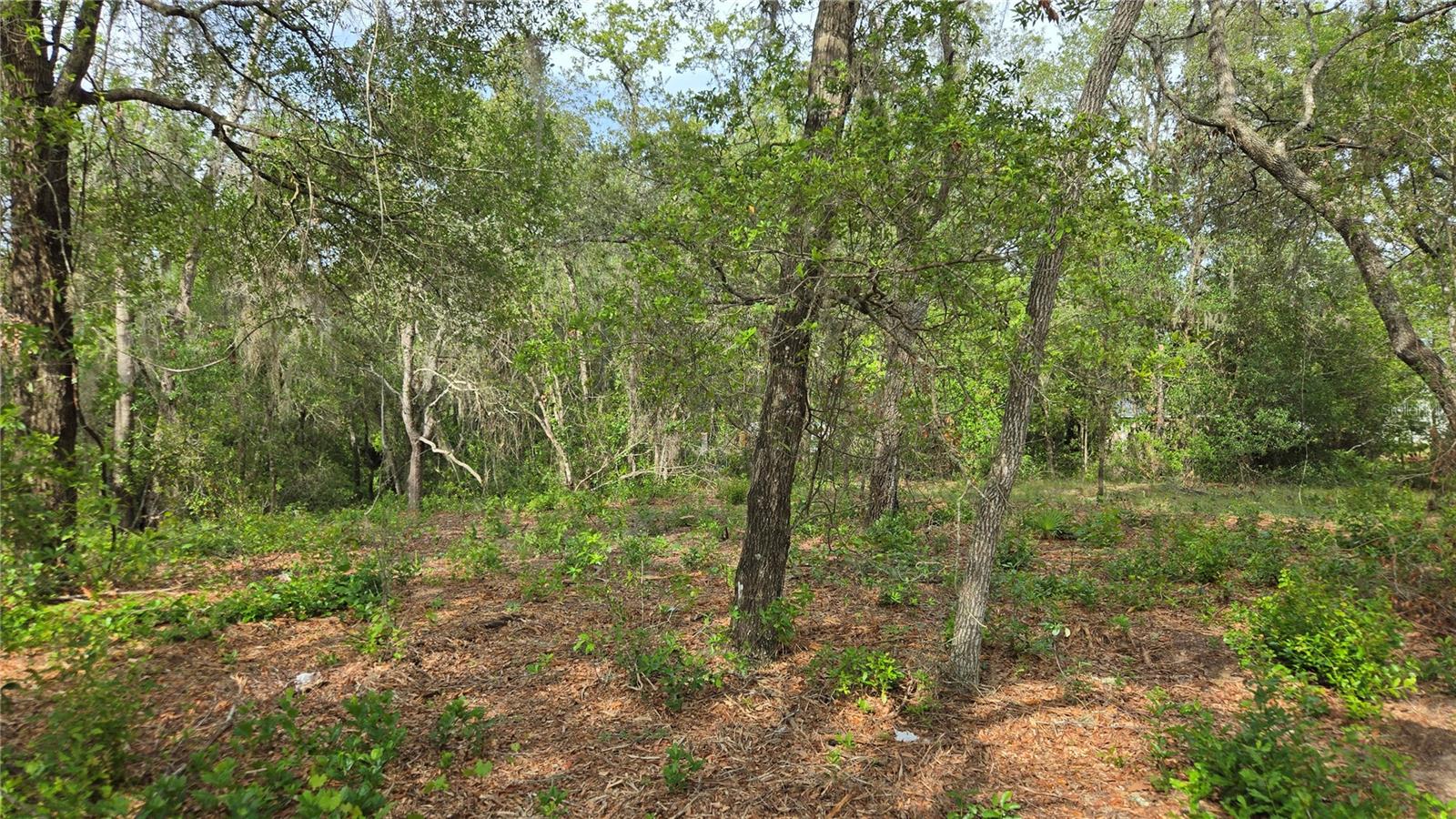 4771 N REDWOOD AVE, HERNANDO, FL — photo 28