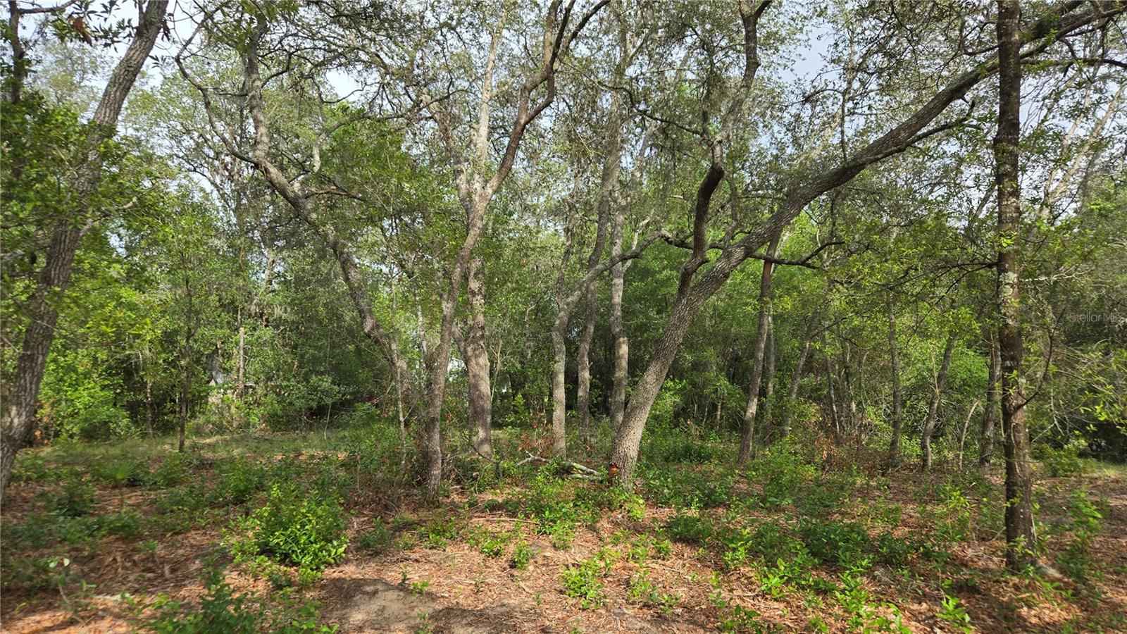 4771 N REDWOOD AVE, HERNANDO, FL — photo 29