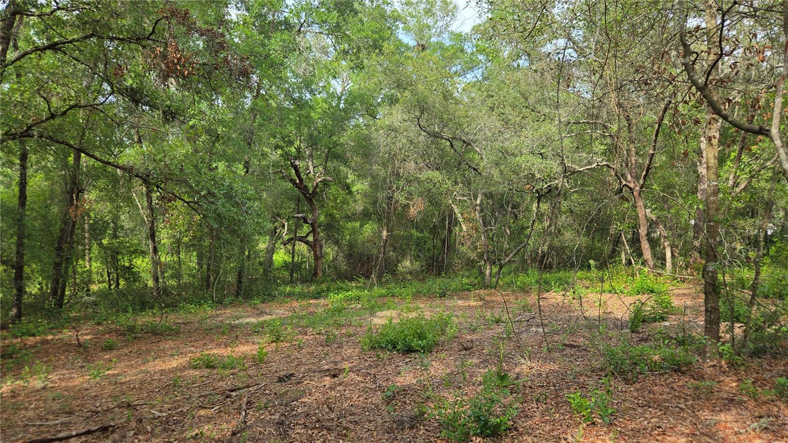 4771 N REDWOOD AVE, HERNANDO, FL — photo 34