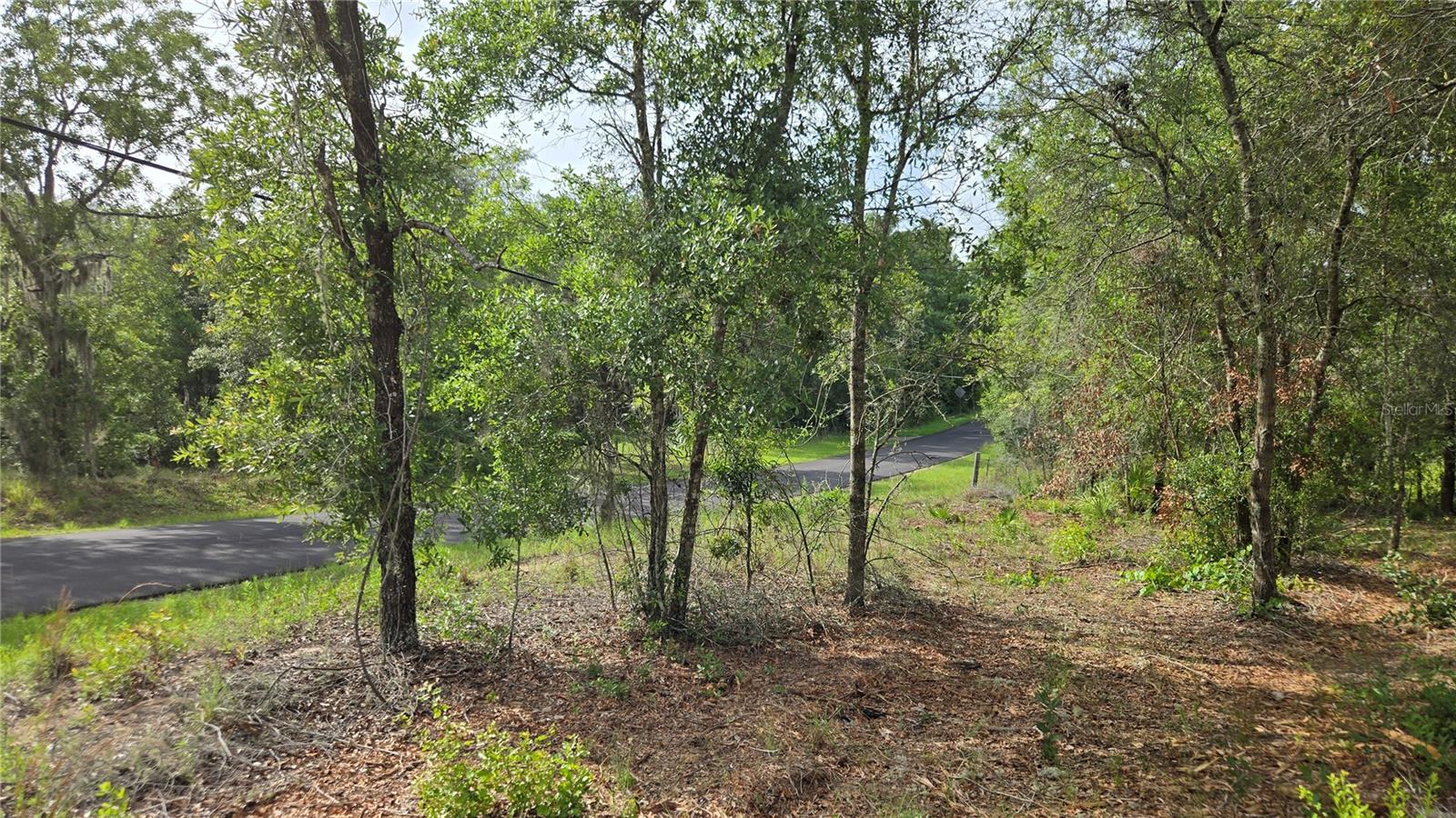 4771 N REDWOOD AVE, HERNANDO, FL — photo 41