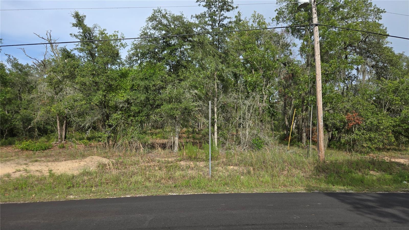 4771 N REDWOOD AVE, HERNANDO, FL — photo 42