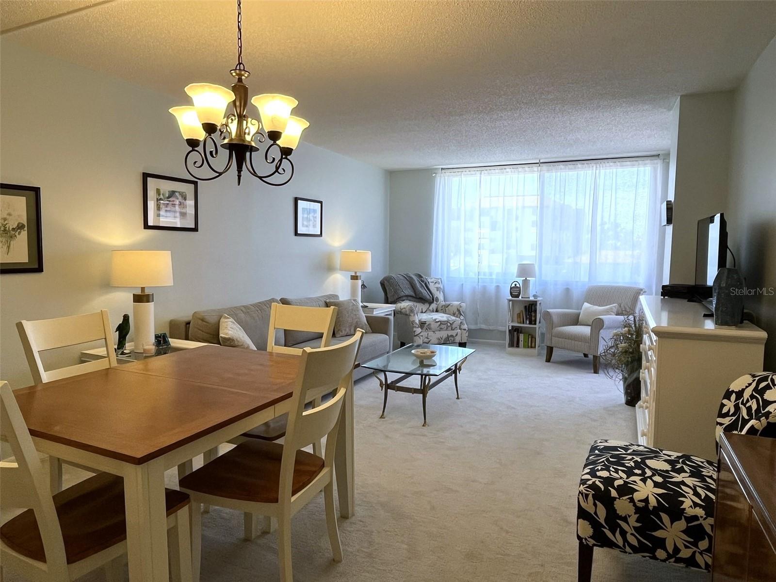 6218 PALMA DEL MAR #303, ST PETERSBURG, FL — photo 14