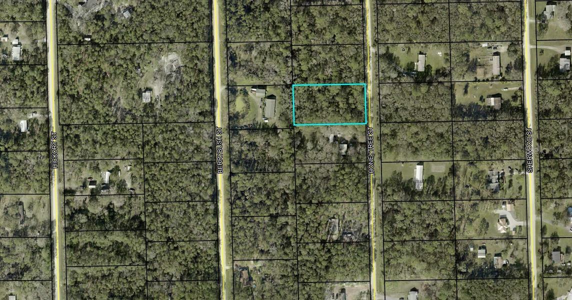 1230 HONEYTREE ST, BUNNELL, FL
