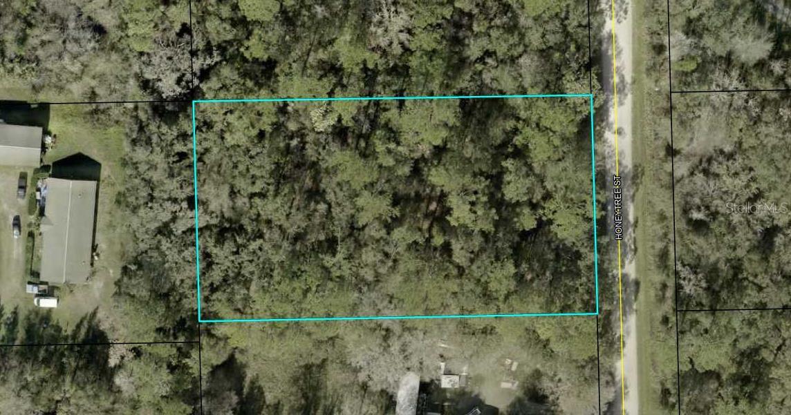 1230 HONEYTREE ST, BUNNELL, FL — photo 2