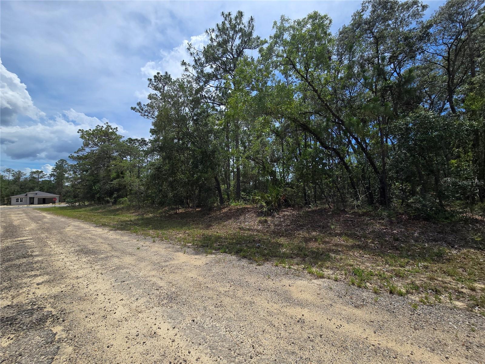6468 N BAYLOR TER, DUNNELLON, FL — photo 2