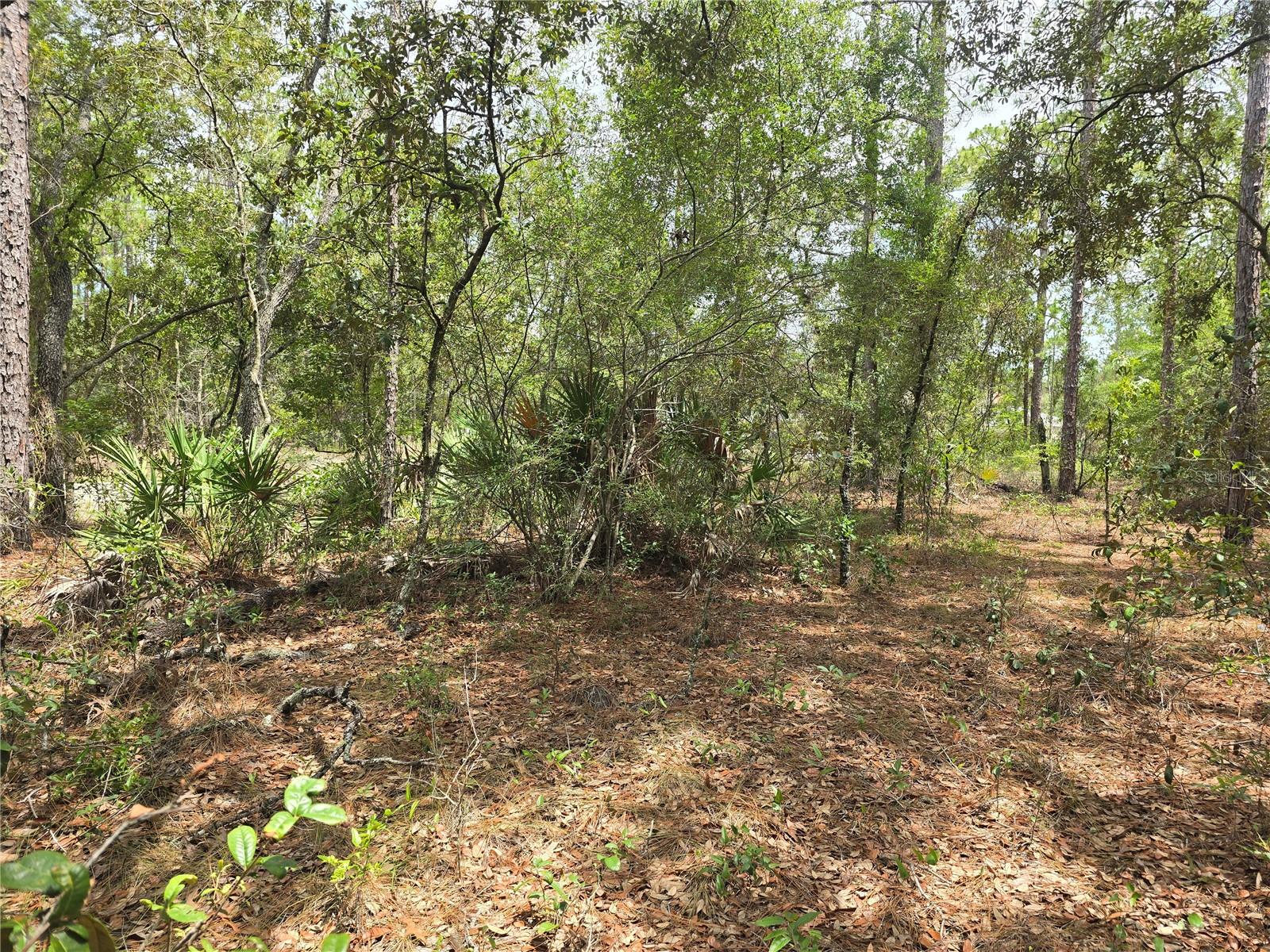 6468 N BAYLOR TER, DUNNELLON, FL — photo 6