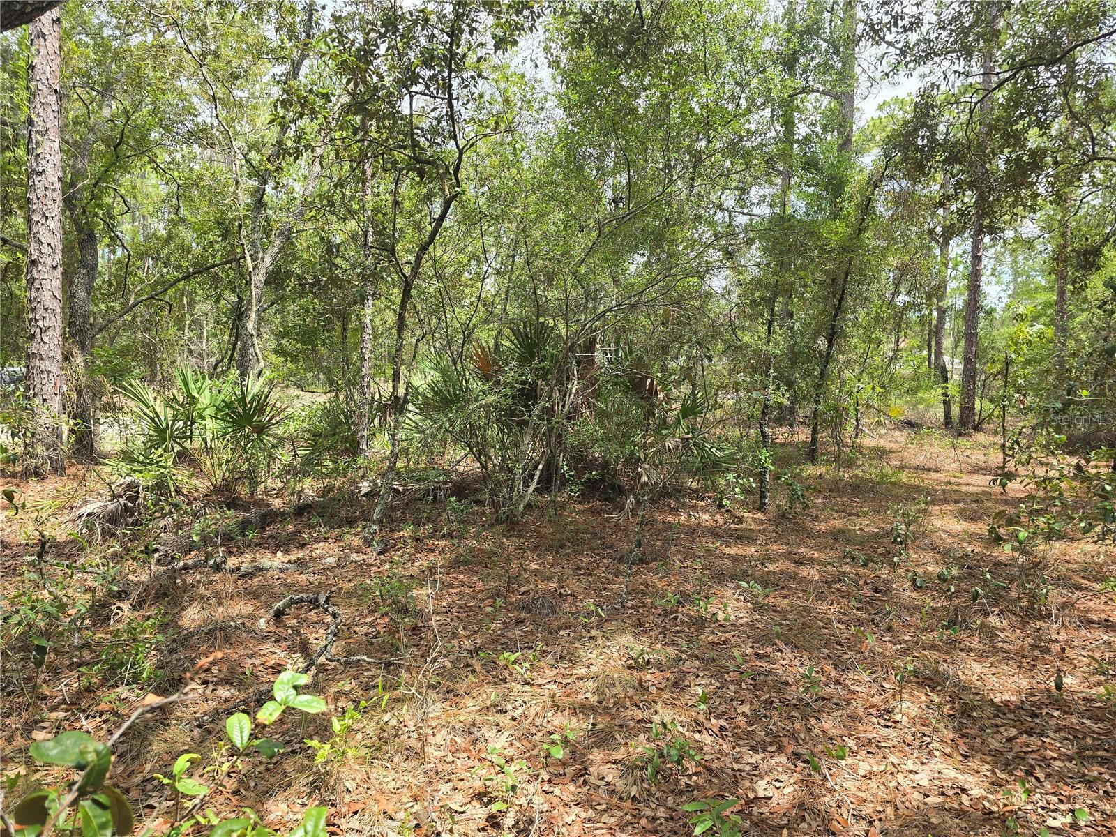 6468 N BAYLOR TER, DUNNELLON, FL — photo 7