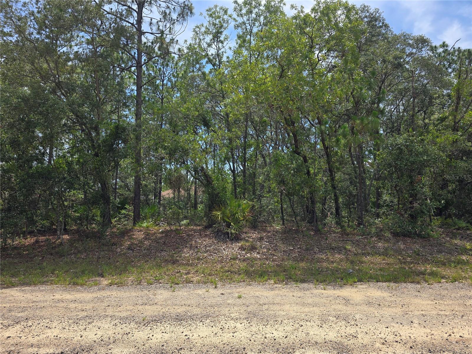 6468 N BAYLOR TER, DUNNELLON, FL — photo 9
