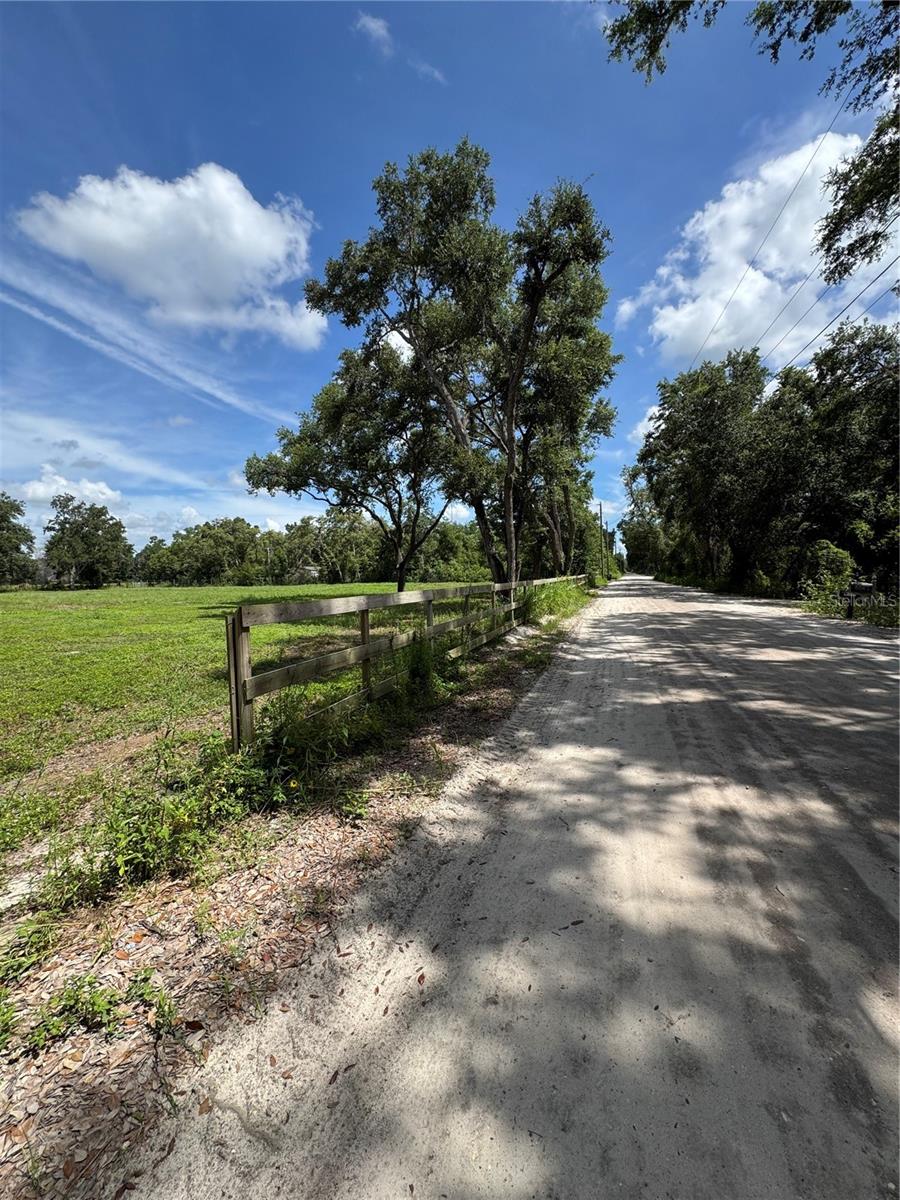 6845 LUMBERTON RD, ZEPHYRHILLS, FL — photo 5