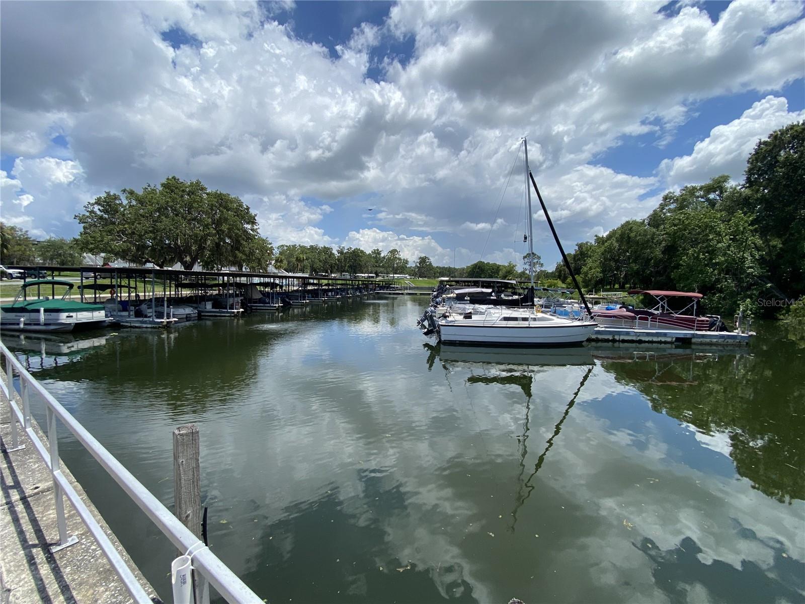 164 ROYAL PALM DR, LEESBURG, FL — photo 129