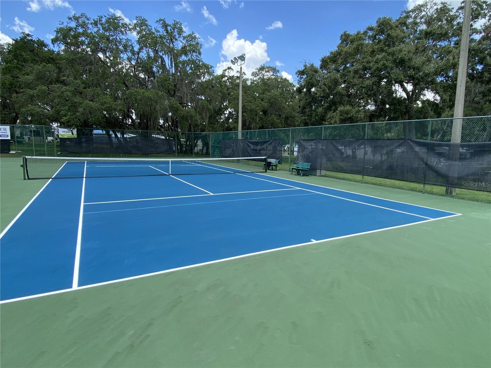 164 ROYAL PALM DR, LEESBURG, FL — photo 177