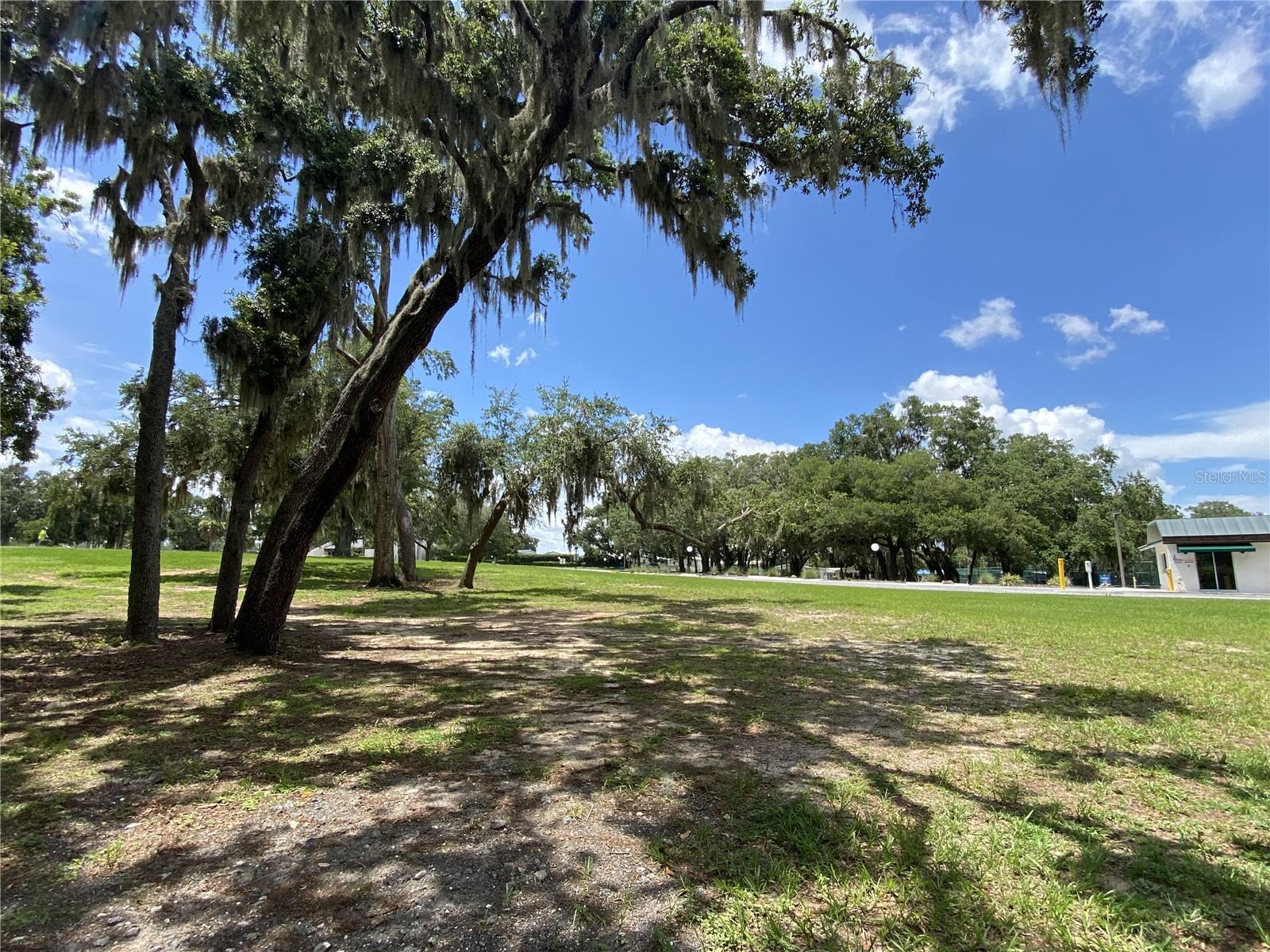 164 ROYAL PALM DR, LEESBURG, FL — photo 184