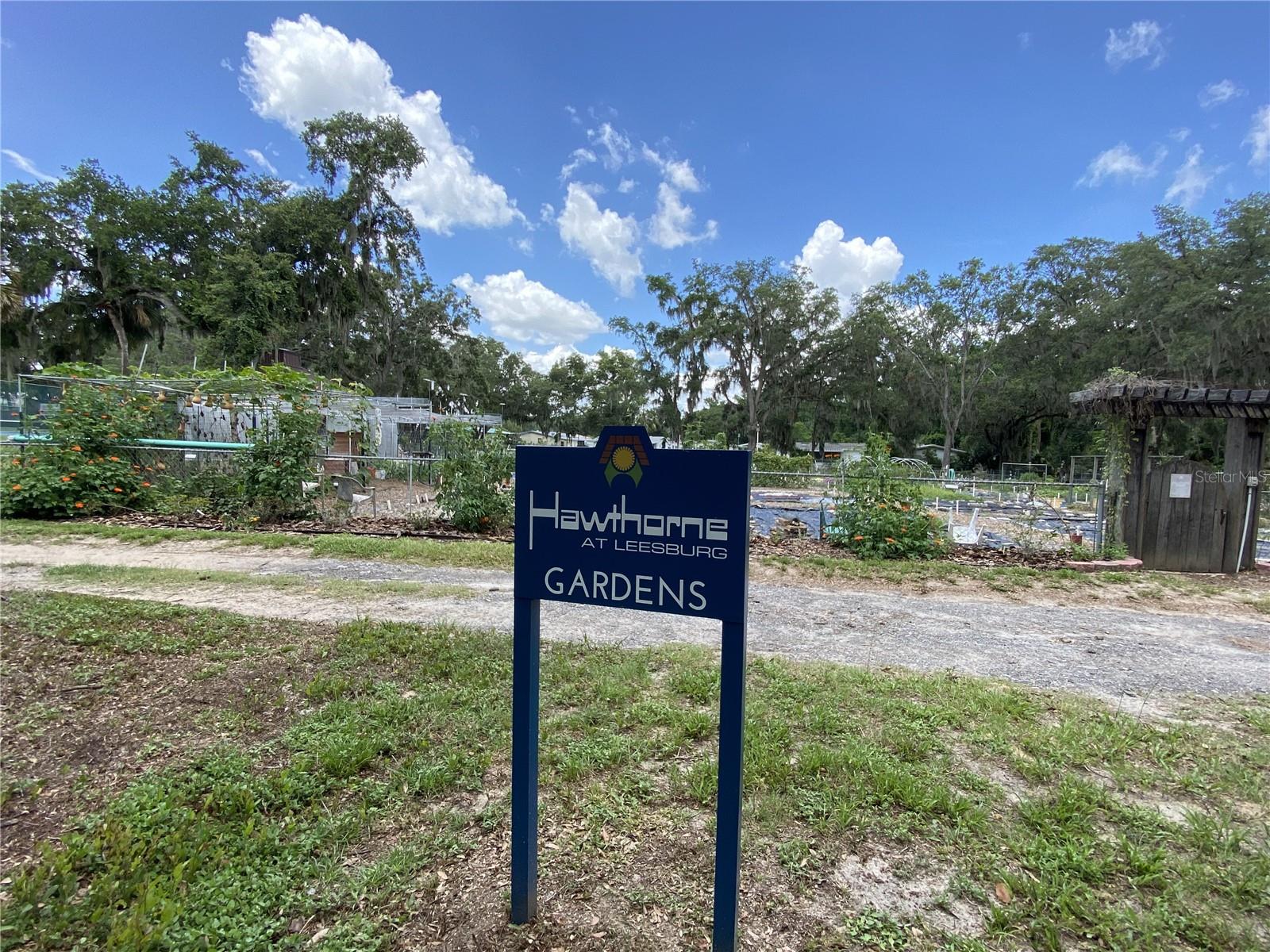 164 ROYAL PALM DR, LEESBURG, FL — photo 157