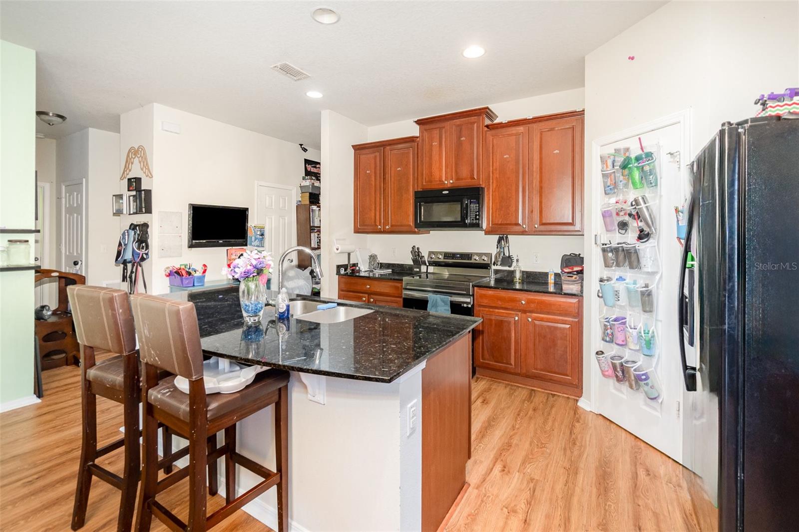 30308 CHEVAL ST, MOUNT DORA, FL — photo 21