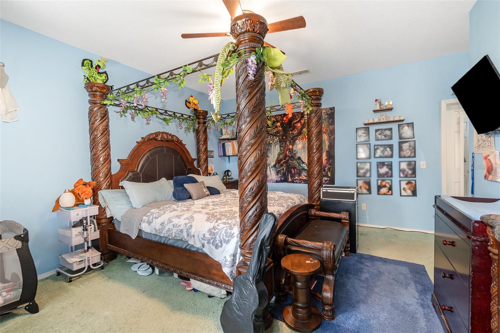 30308 CHEVAL ST, MOUNT DORA, FL — photo 30
