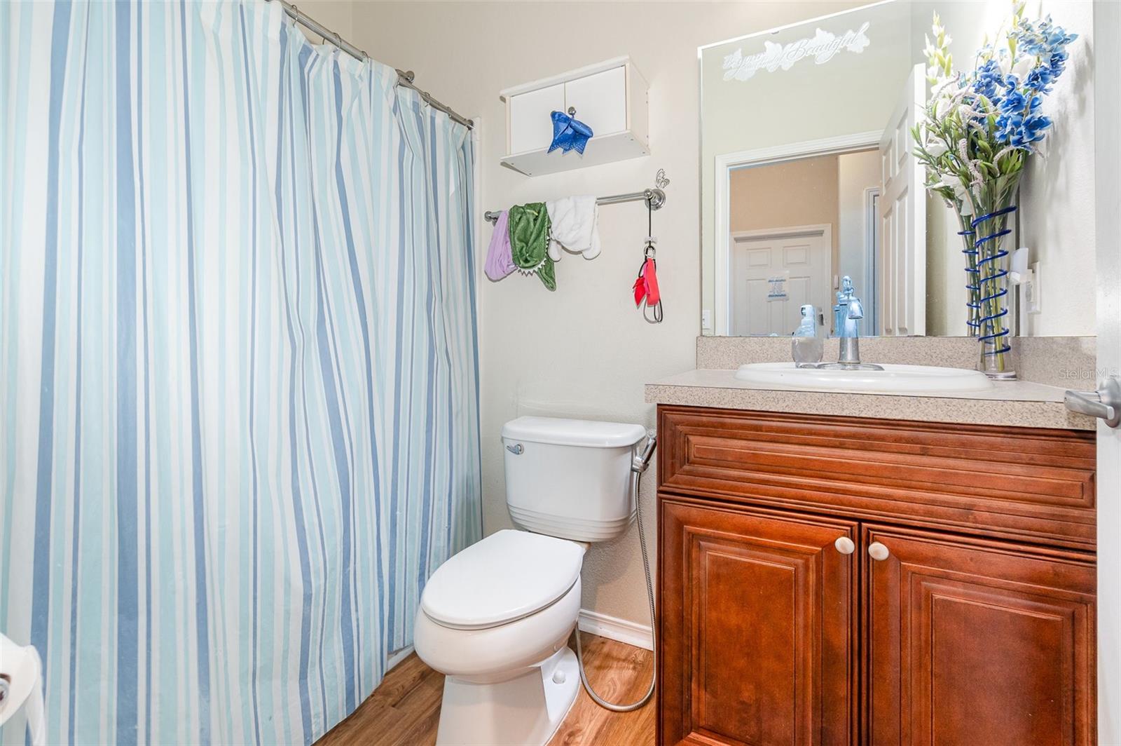 30308 CHEVAL ST, MOUNT DORA, FL — photo 47