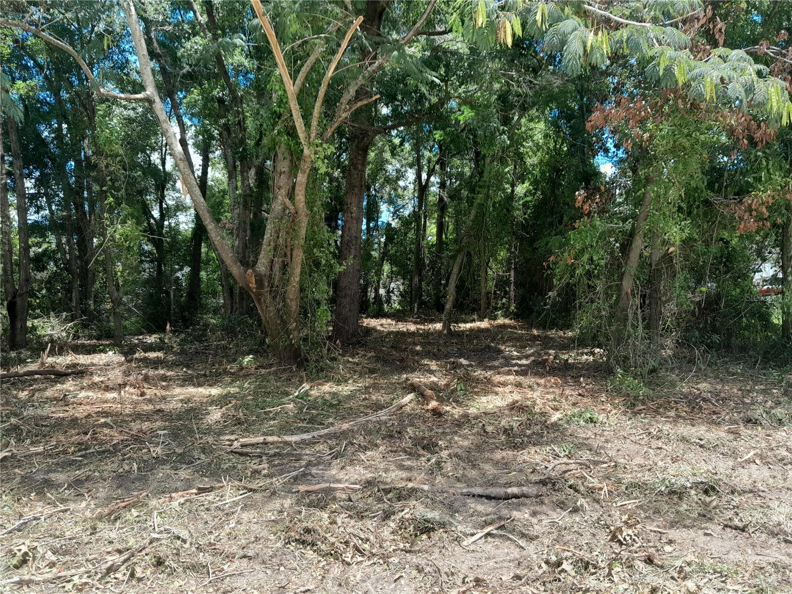 tbd NE 48TH ST, WILLISTON, FL — photo 2