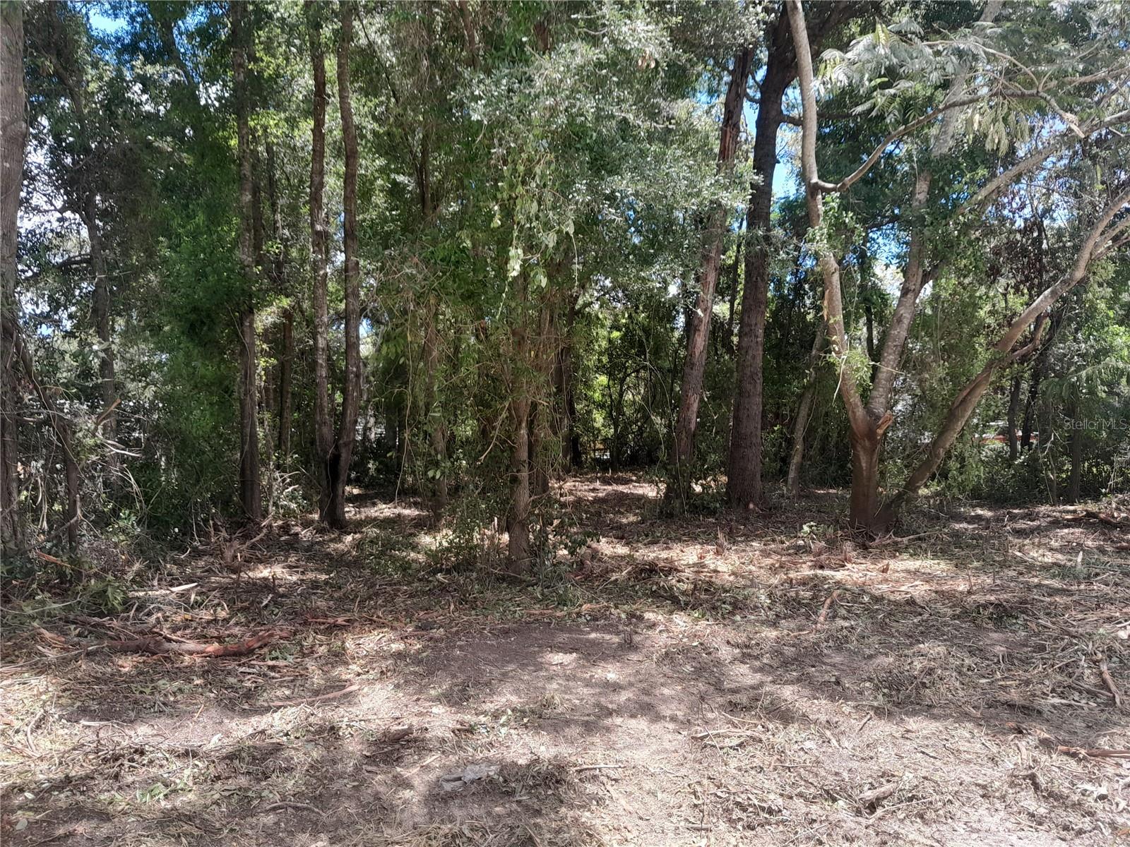 tbd NE 48TH ST, WILLISTON, FL — photo 3