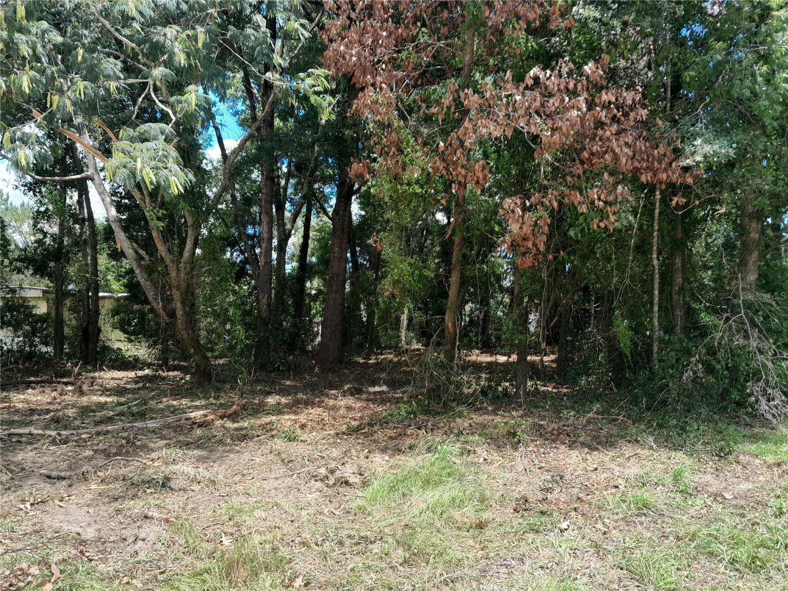 tbd NE 48TH ST, WILLISTON, FL — photo 4