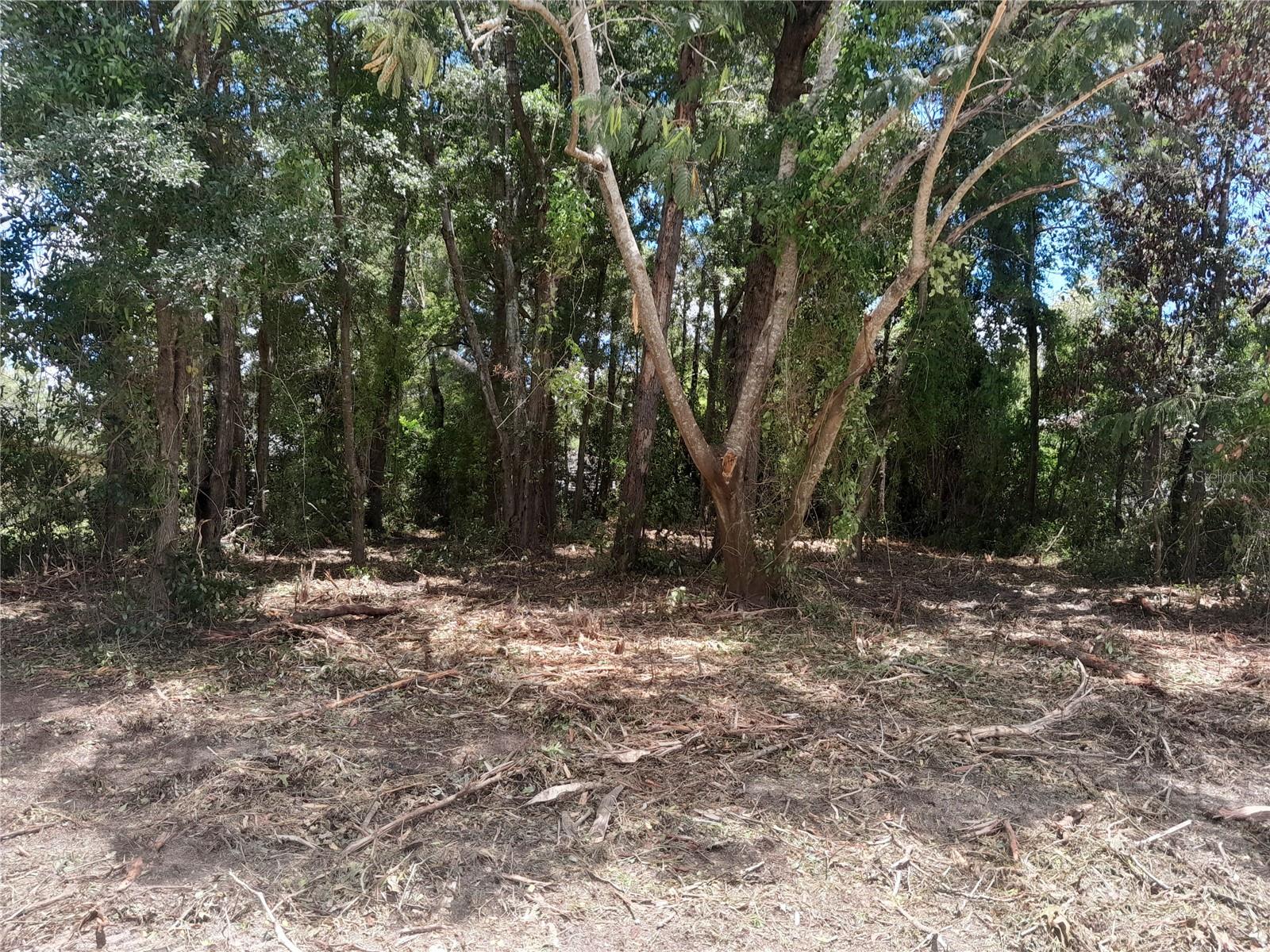 tbd NE 48TH ST, WILLISTON, FL